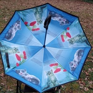 Inverted Blue Umbrella (Kitten)